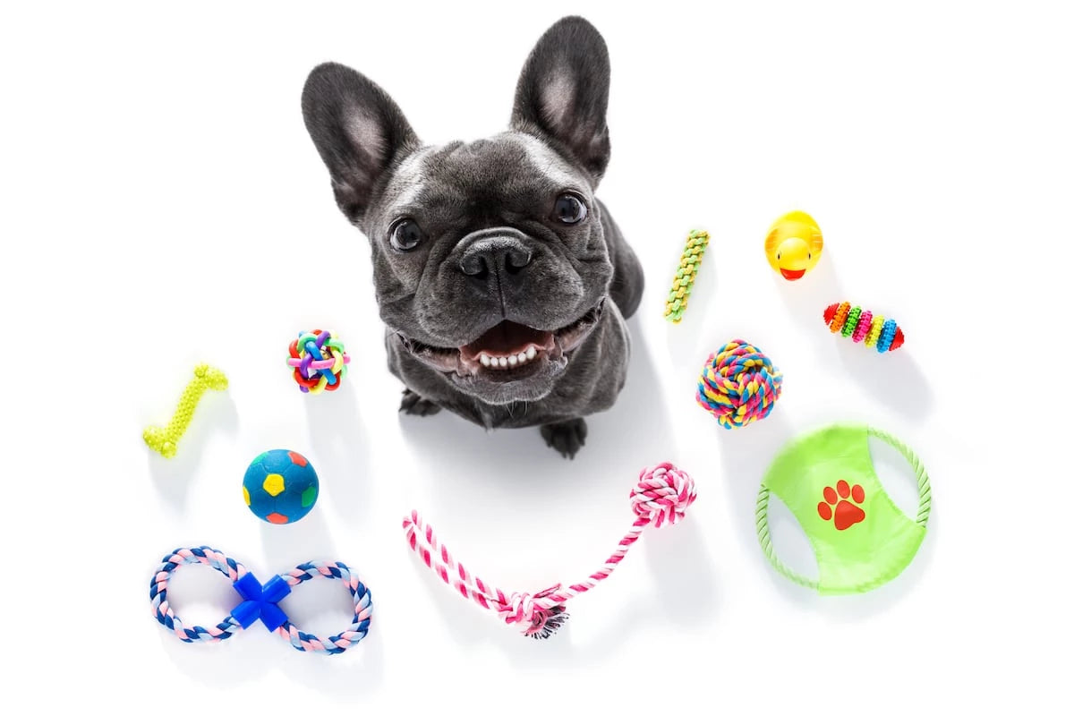 1. PlayTech Pups: Toys That Think & Twirl"