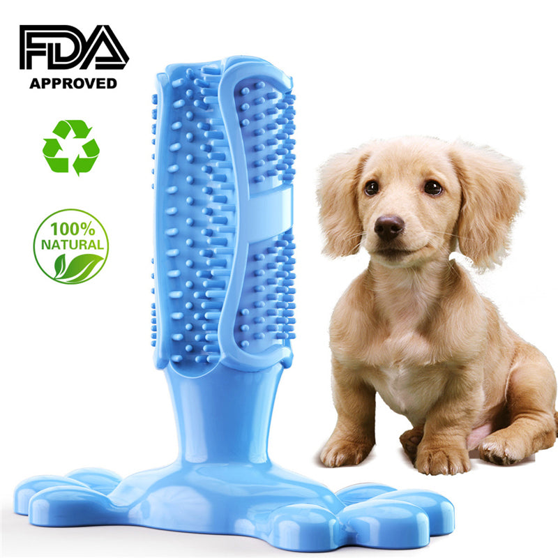 Cactus Interactive Dog Toothbrush Chew Toy - Teeth Cleaning Stick  