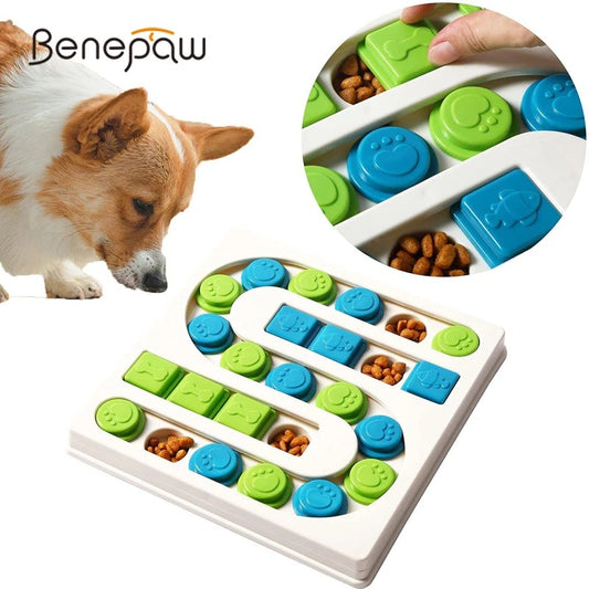 WaggleMind Level 5: Pup's Puzzle Feast & IQ Booster