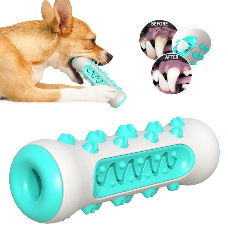 Soft TPR Toothbrush Toy: For Dogs Perfect for Doggy Dental Care 🦷 