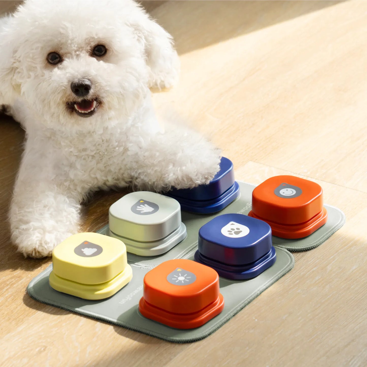 mewoofun pet talking buttons