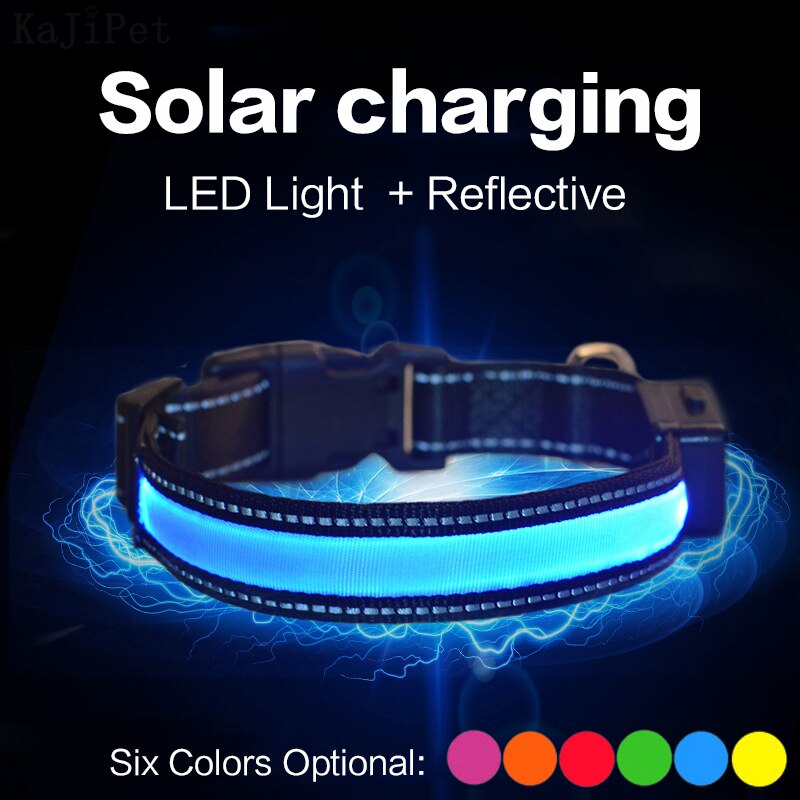 Solar Powered & USB Rechargeable LED Dog Collar for Night Time Safety