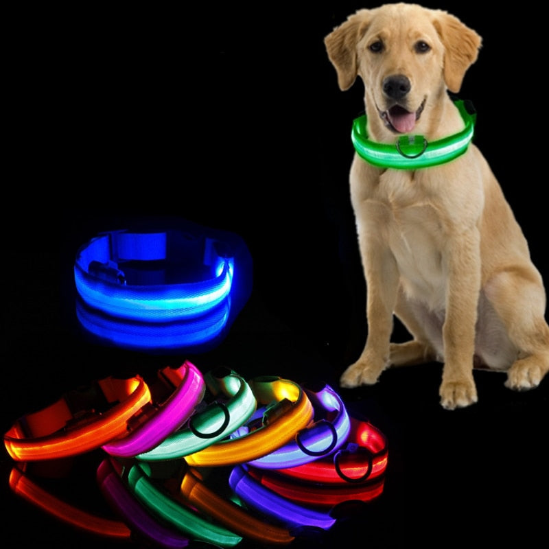 Rechargeable LED Dog Collar - Waterproof, Adjustable Luminous Safety