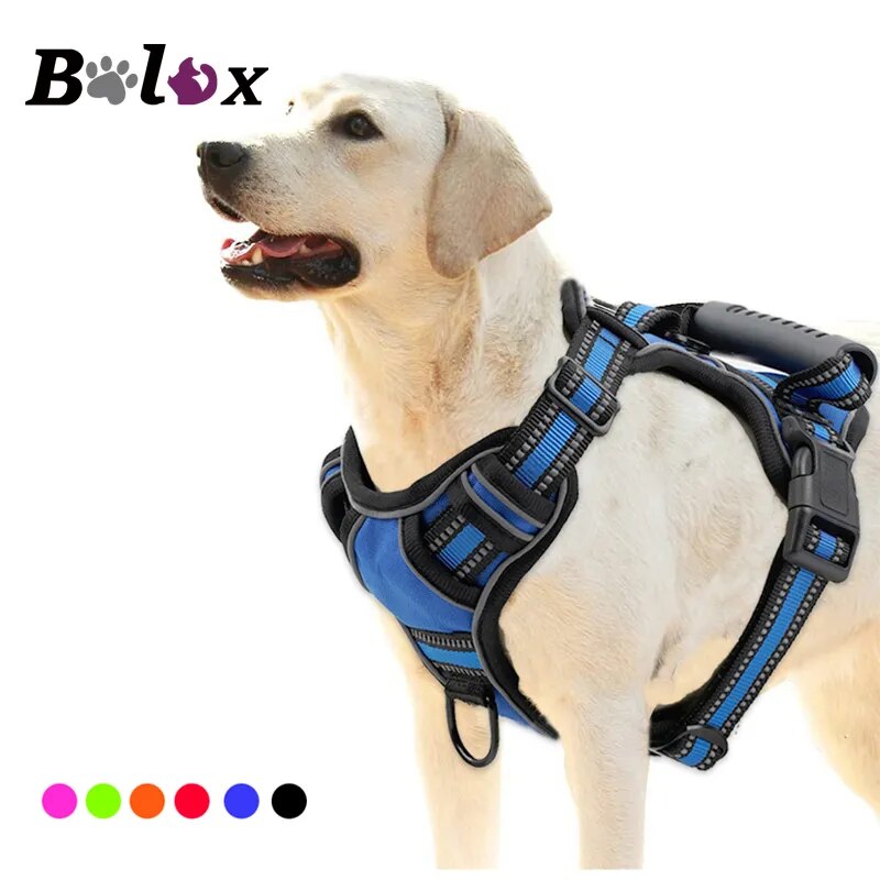 Ultimate Comfort & Control. No-Pull Breathable & Reflective Harness