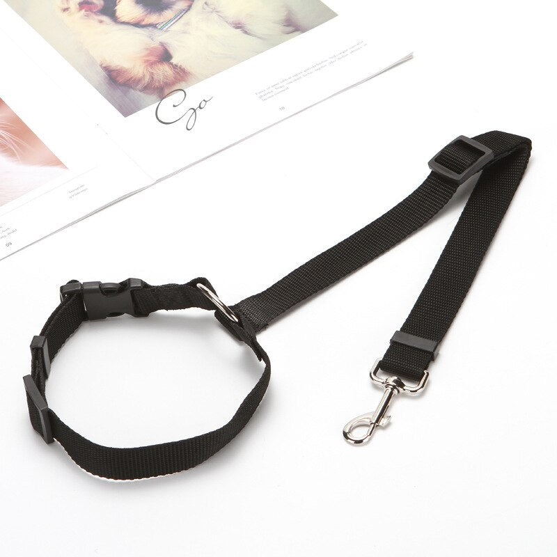 Black Two-in-one Nylon Adjustable Dogs Harness Collar Car Seat Safety Belt