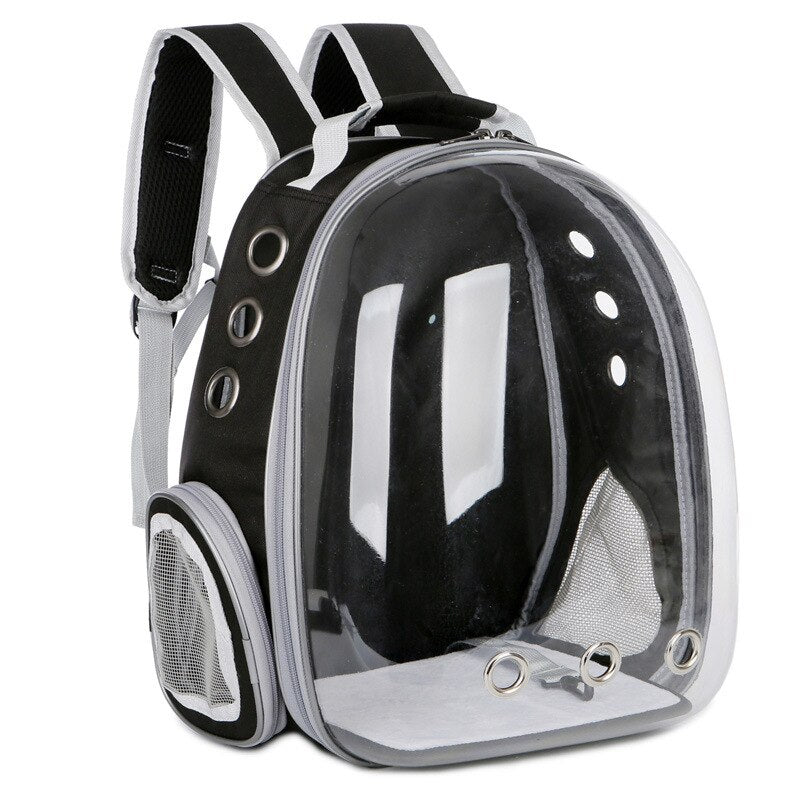 Black transparent pet backpack