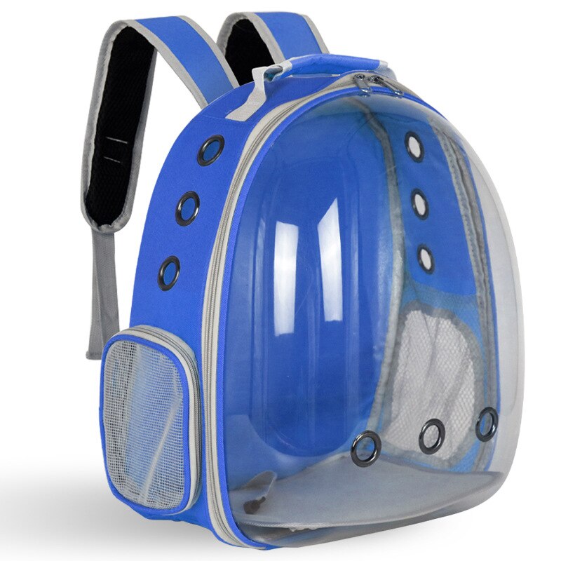 Blue transparent pet backpack