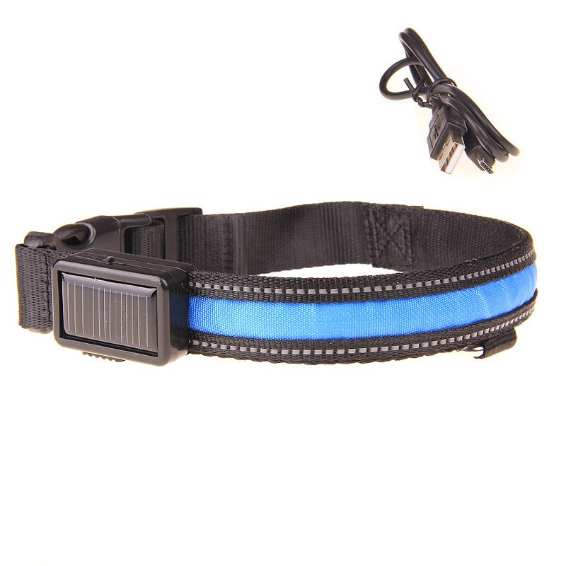 Blue Solar Powered and USB Rechargeable LED Dog Collar for Night Time Safety