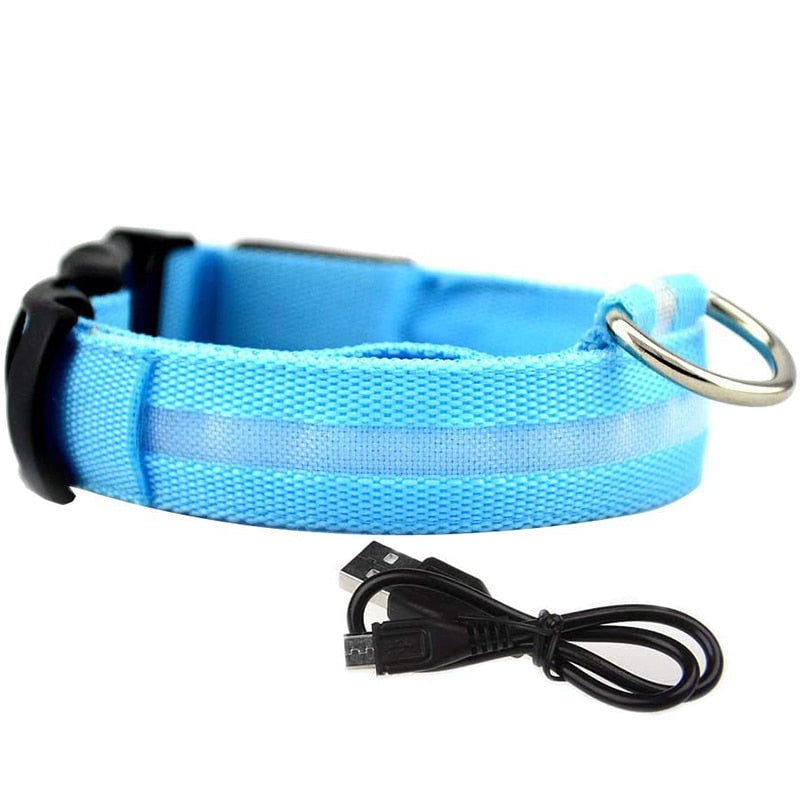 Blue Rechargeable LED Dog Collar - Waterproof, Adjustable Luminous Safety