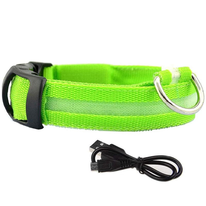 Green Rechargeable LED Dog Collar - Waterproof, Adjustable Luminous Safety