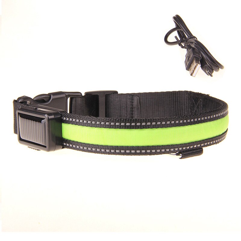 Green Solar Powered and USB Rechargeable LED Dog Collar for Night Time Safety