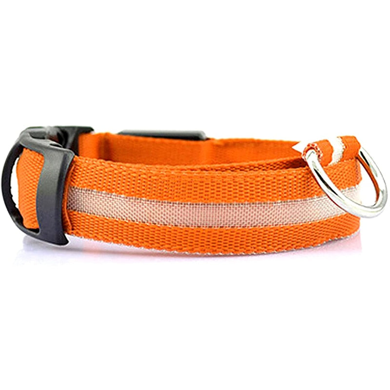 Orange LED Dog Collar - Waterproof, Adjustable Luminous Safety