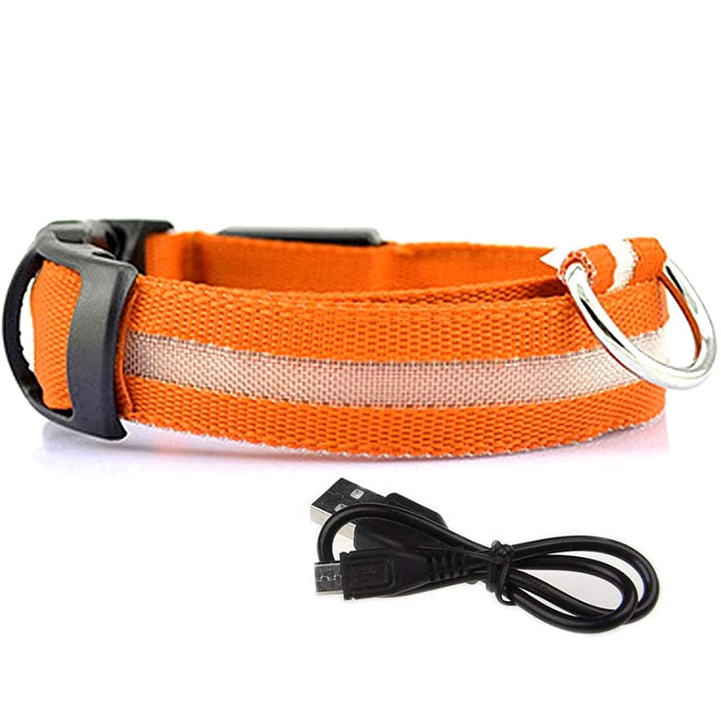 Orange Rechargeable LED Dog Collar - Waterproof, Adjustable Luminous Safety