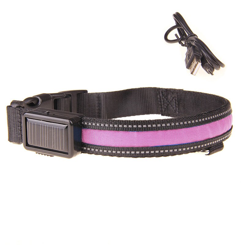 Pink Solar Powered and USB Rechargeable LED Dog Collar for Night Time Safety