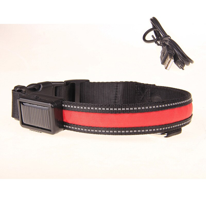 Red Solar Powered and USB Rechargeable LED Dog Collar for Night Time Safety