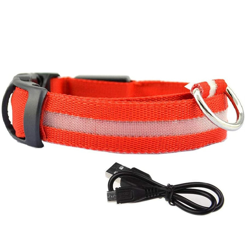 Red Rechargeable LED Dog Collar - Waterproof, Adjustable Luminous Safety