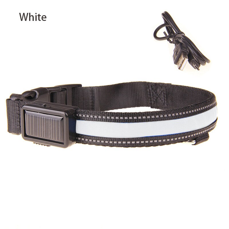 White Solar Powered and USB Rechargeable LED Dog Collar for Night Time Safety