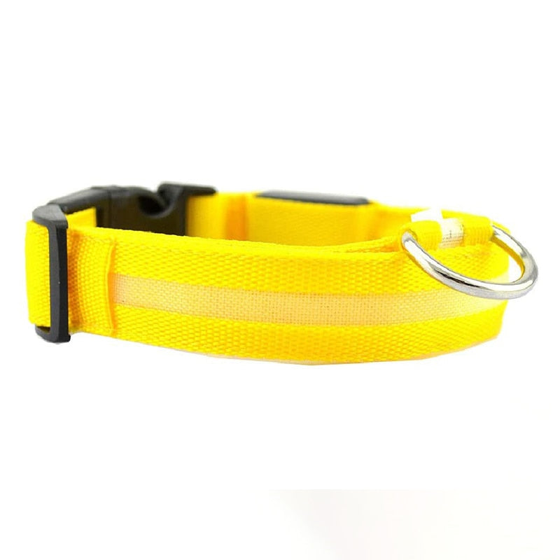 Yellow LED Dog Collar - Waterproof, Adjustable Luminous Safety