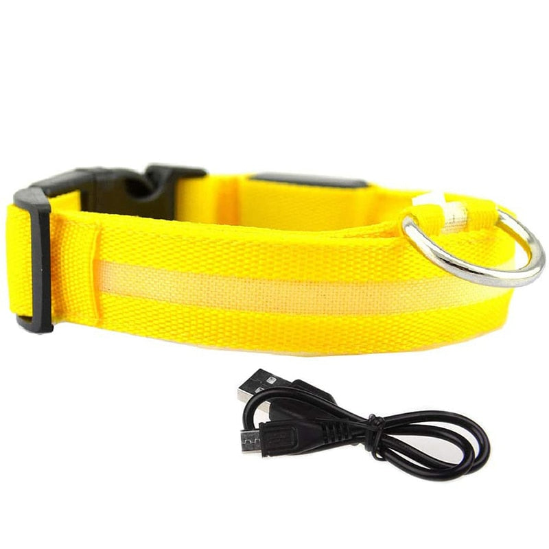 Yellow Rechargeable LED Dog Collar - Waterproof, Adjustable Luminous Safety